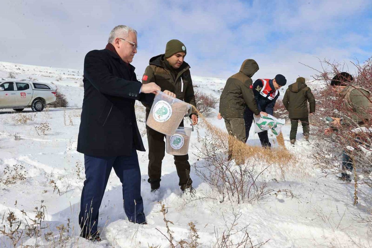 Kapanan köy yolları bir bir açılıyor