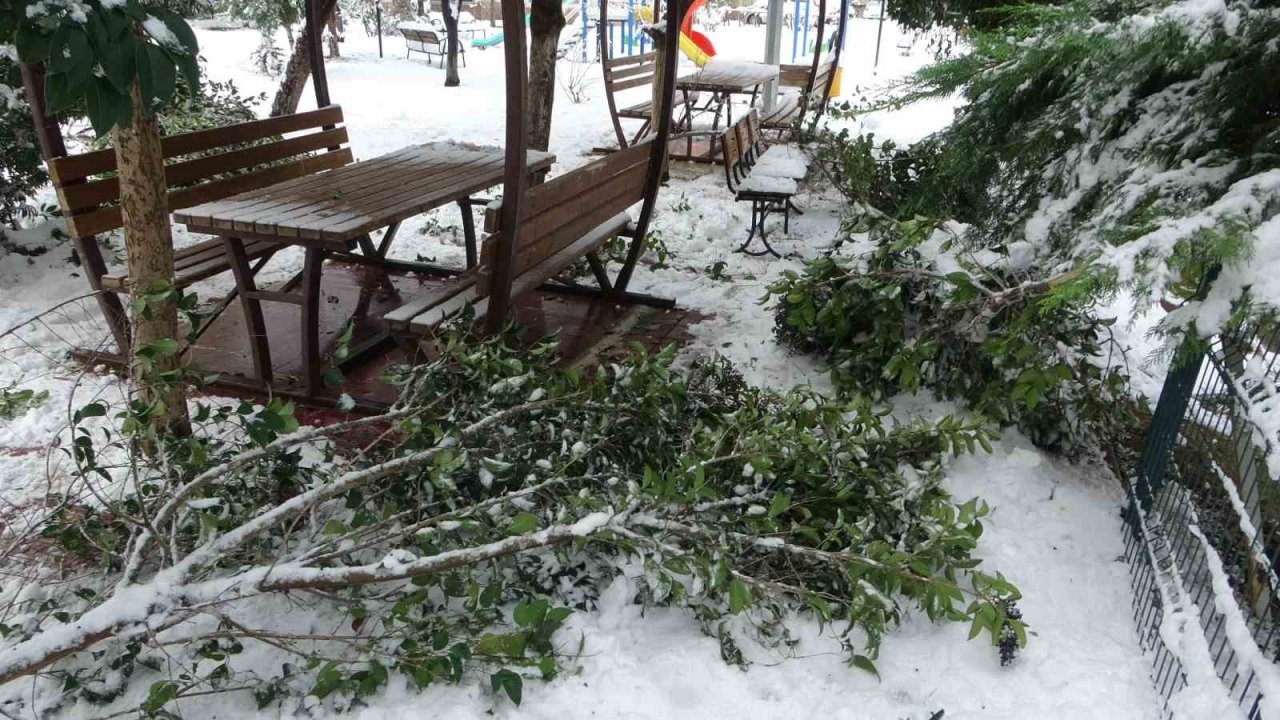 Malatya’da kar ağaçları yerinden söktü