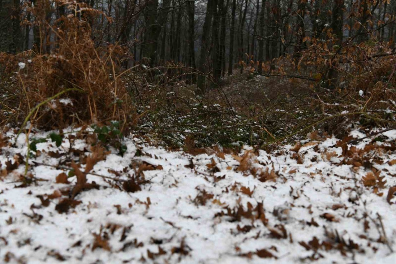 Lapseki’de kar yağışı