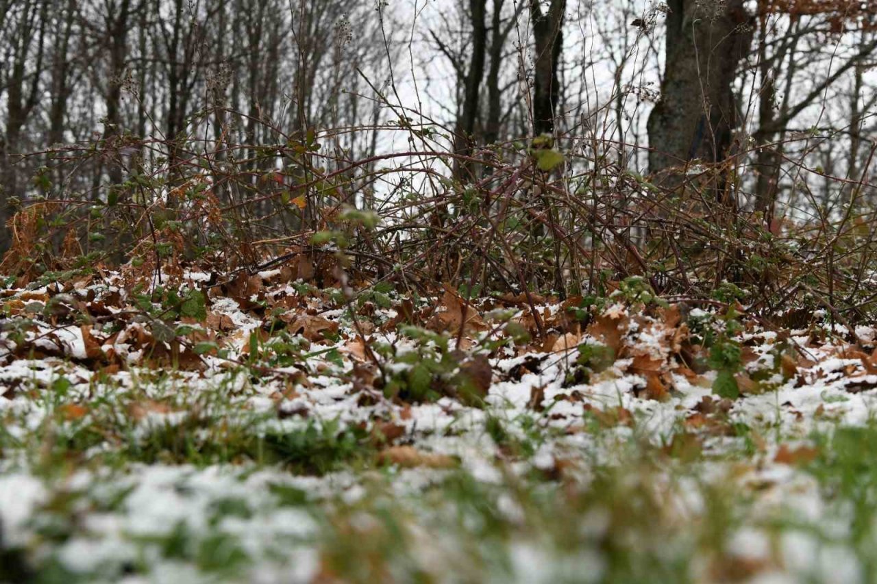 Lapseki’de kar yağışı