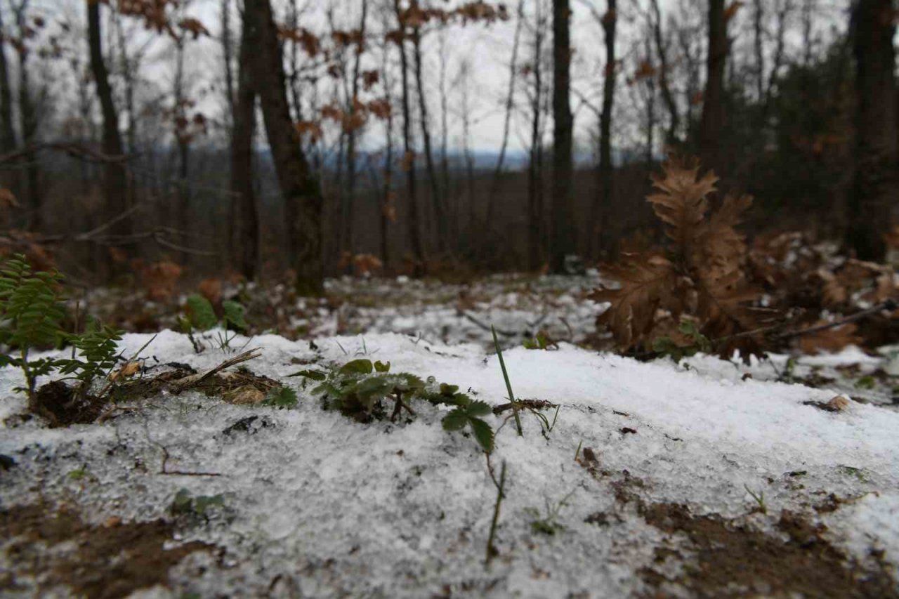 Lapseki’de kar yağışı