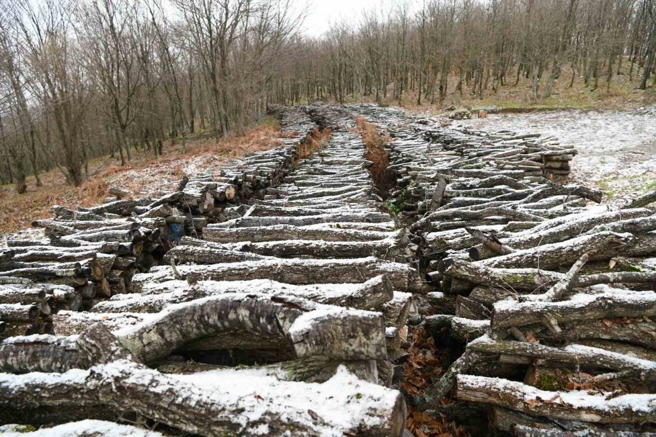 Lapseki’de kar yağışı