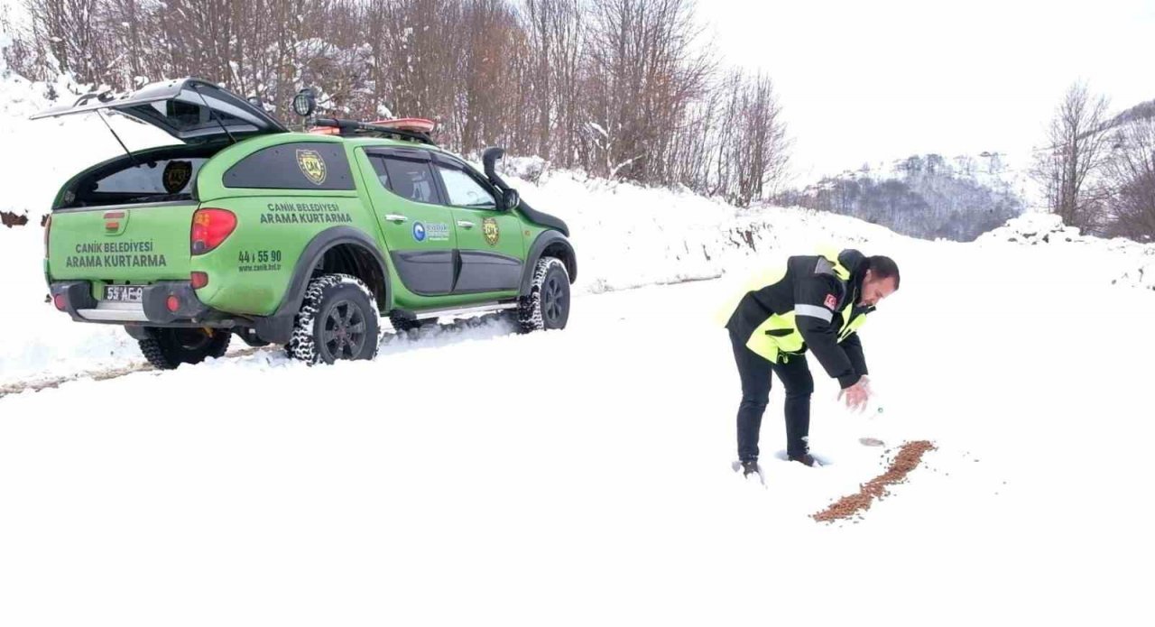 Karlı bölgelerde can dostlara yiyecek desteği