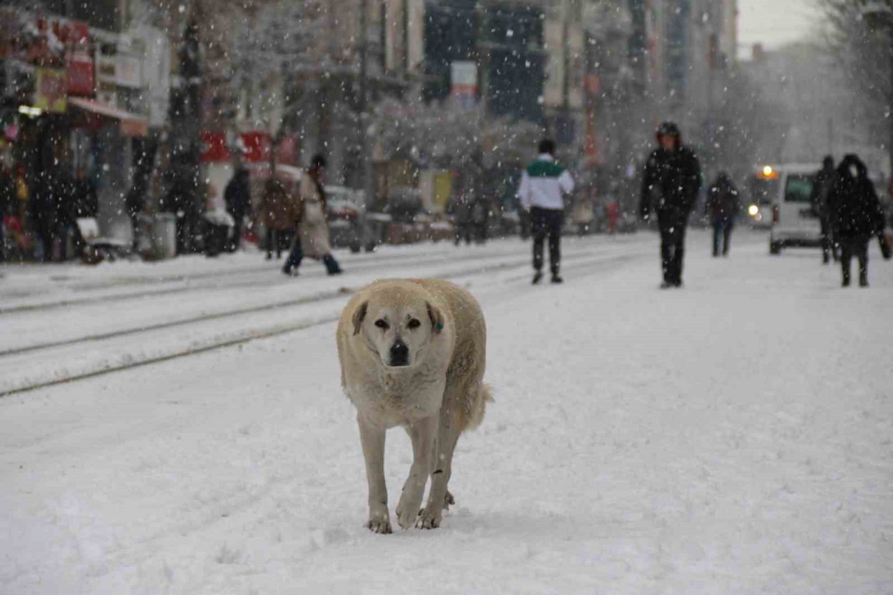Eskişehir’in kar hasreti son buldu