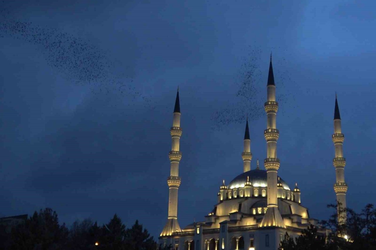 Kırıkkale’de sığırcık kuşlarından görsel şölen