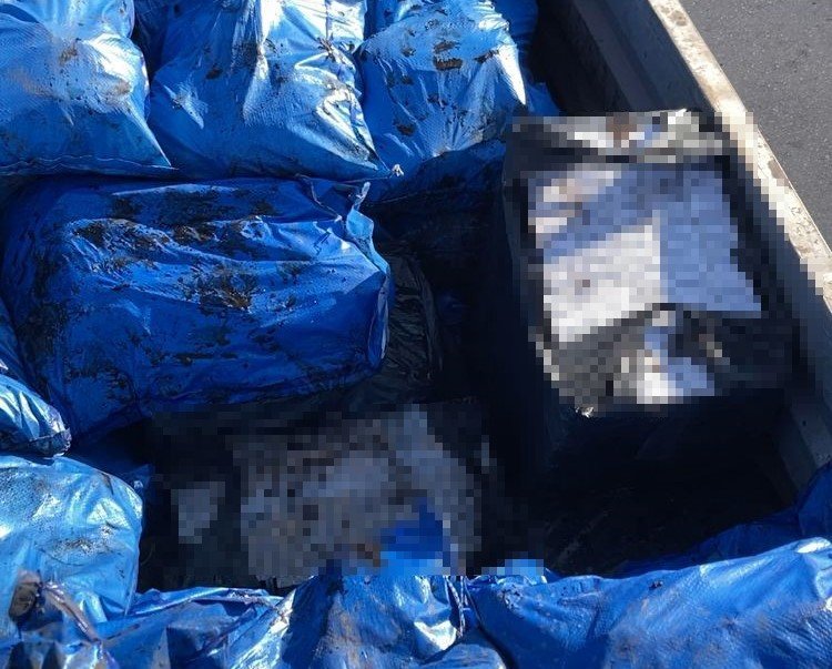 Tırdaki kömür torbalarının arasından çıktı: Elektroniği bile var