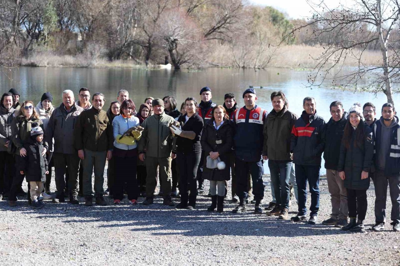 Dünya Sulak Alan Günü’nde iki şahin doğaya bırakıldı
