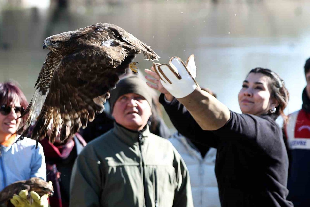 Dünya Sulak Alan Günü’nde iki şahin doğaya bırakıldı