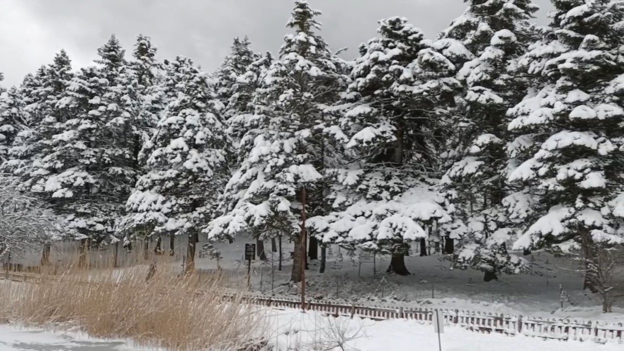 Bolu’nun incisi Gölcük buz tuttu