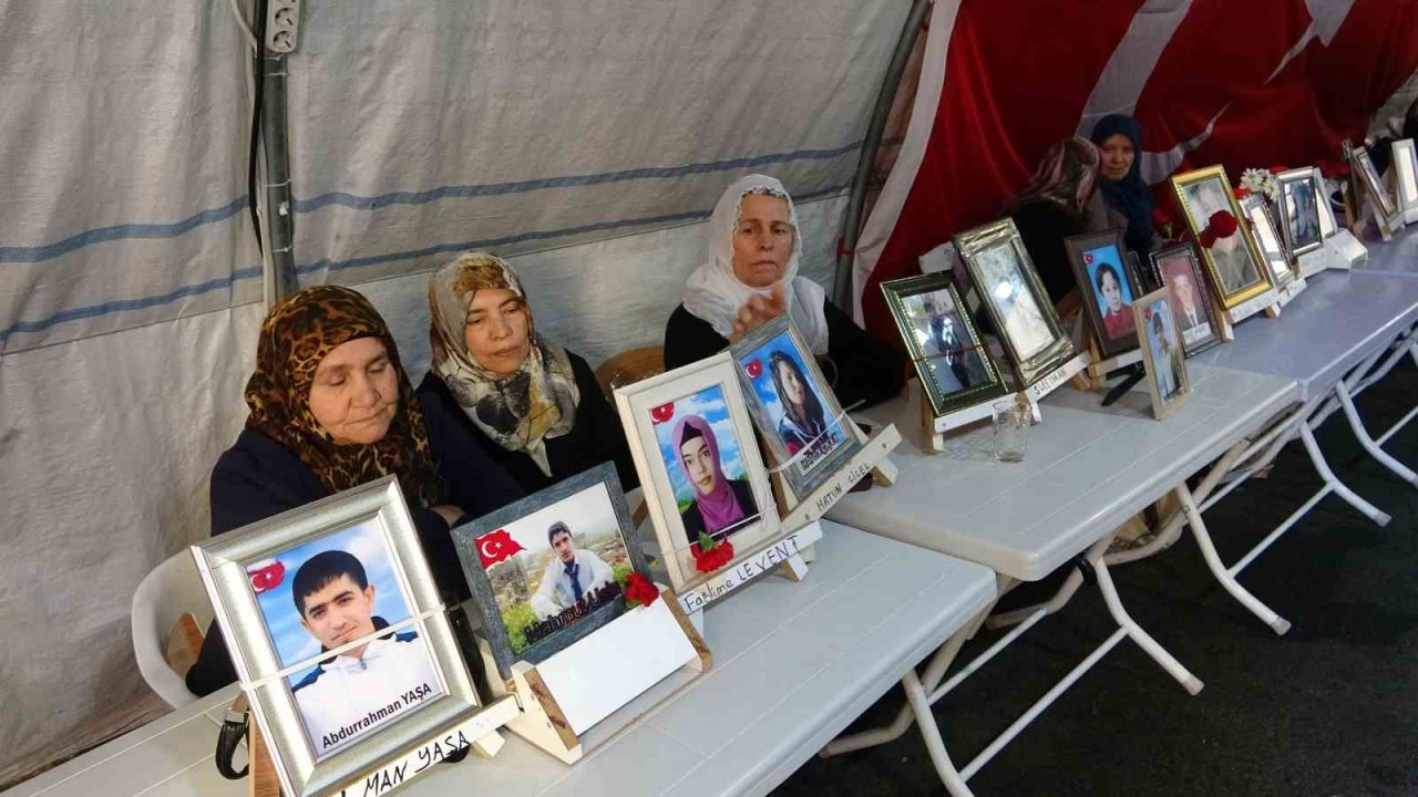Yüreği yanık anne Laçin: “Bizim ciğerlerimiz yandı başka ciğerler yanmasın”