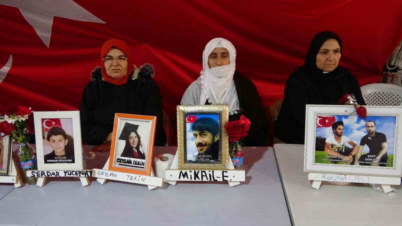 Yüreği yanık anne Laçin: “Bizim ciğerlerimiz yandı başka ciğerler yanmasın”