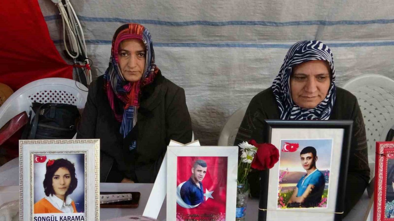 Yüreği yanık anne Laçin: “Bizim ciğerlerimiz yandı başka ciğerler yanmasın”