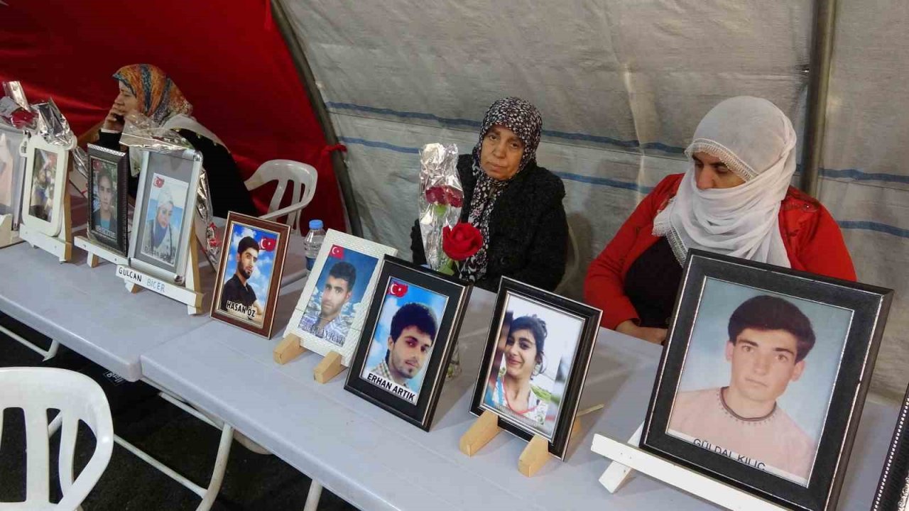 Yüreği yanık anne Laçin: “Bizim ciğerlerimiz yandı başka ciğerler yanmasın”