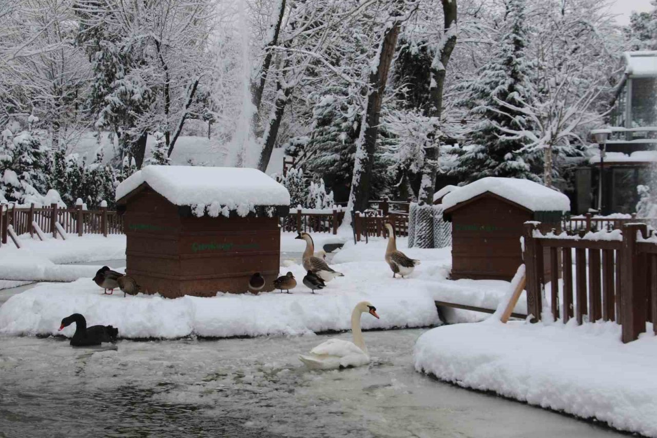 Kuğulu Park’ta kar coşkusu