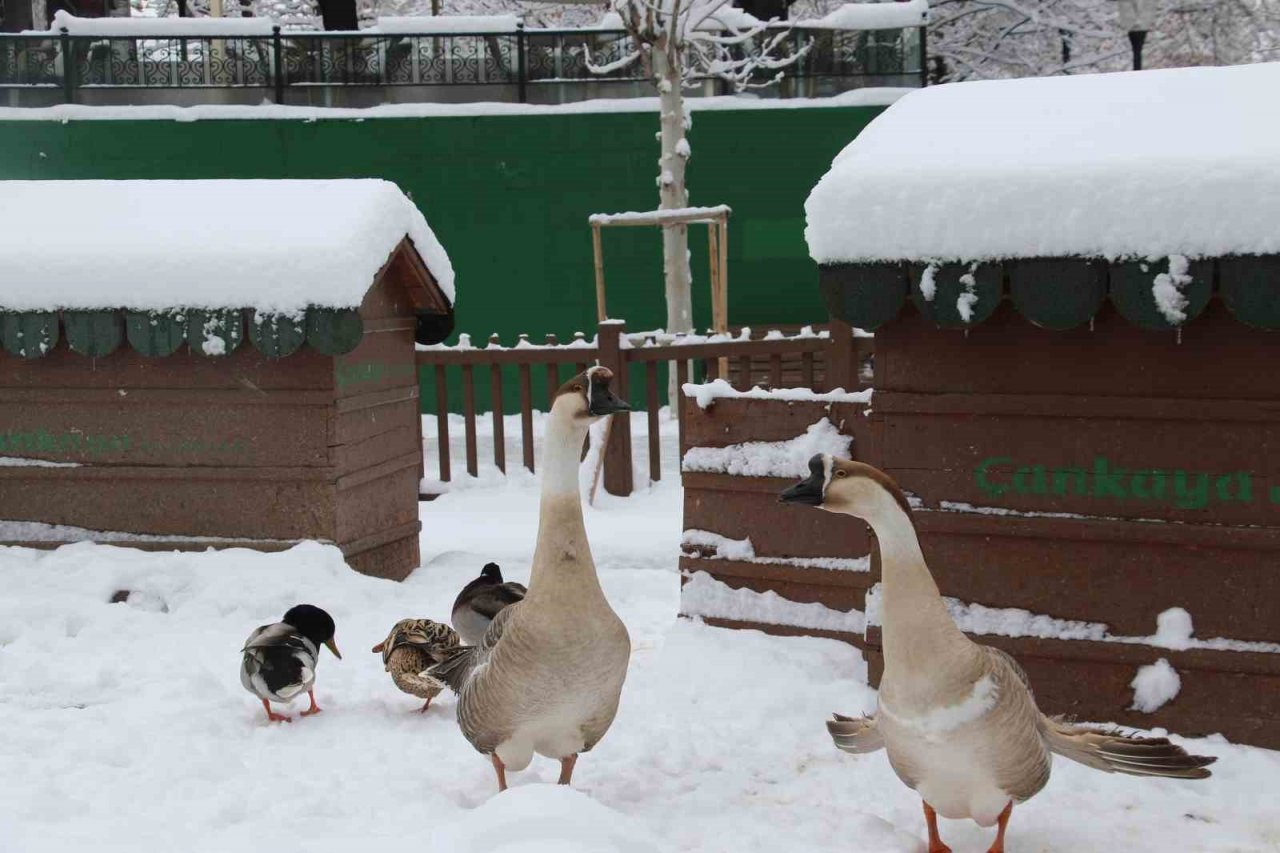 Kuğulu Park’ta kar coşkusu