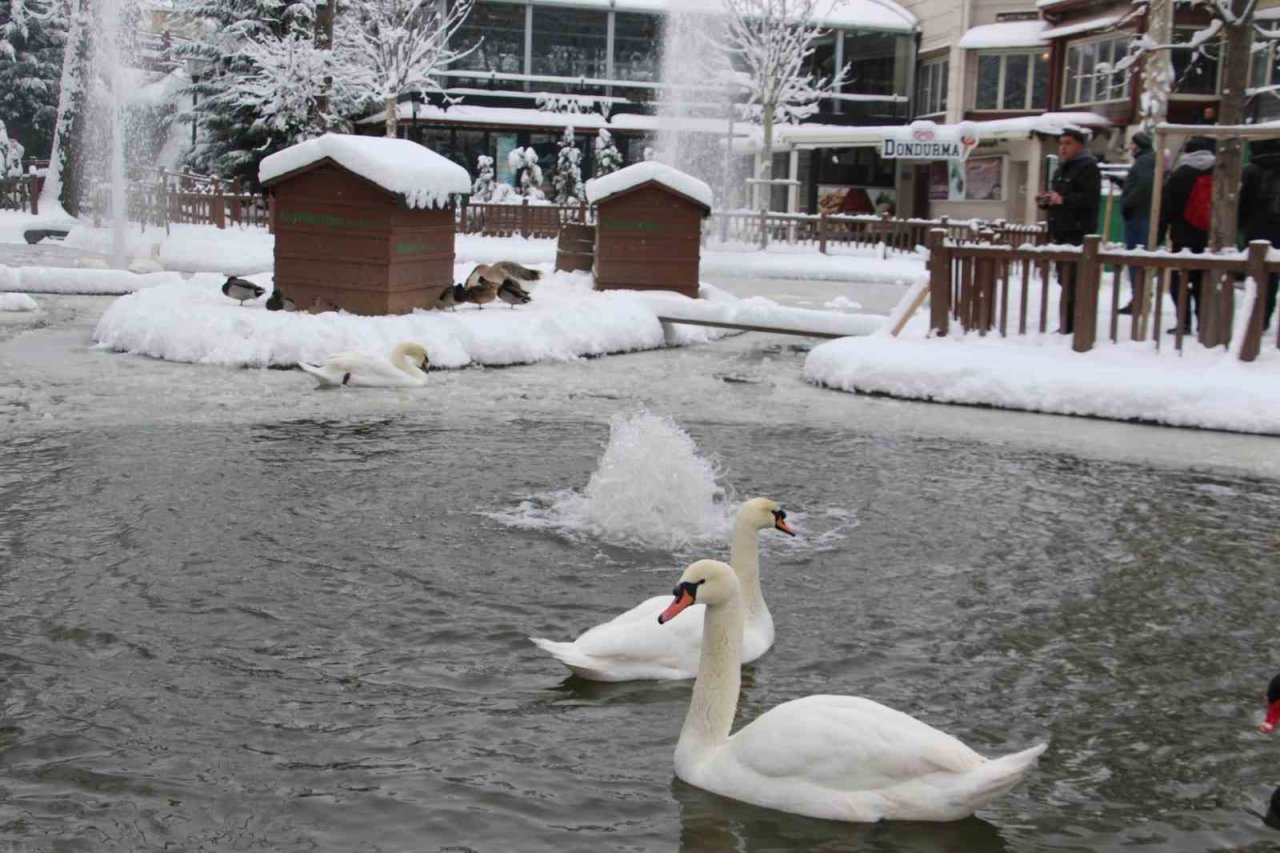 Kuğulu Park’ta kar coşkusu