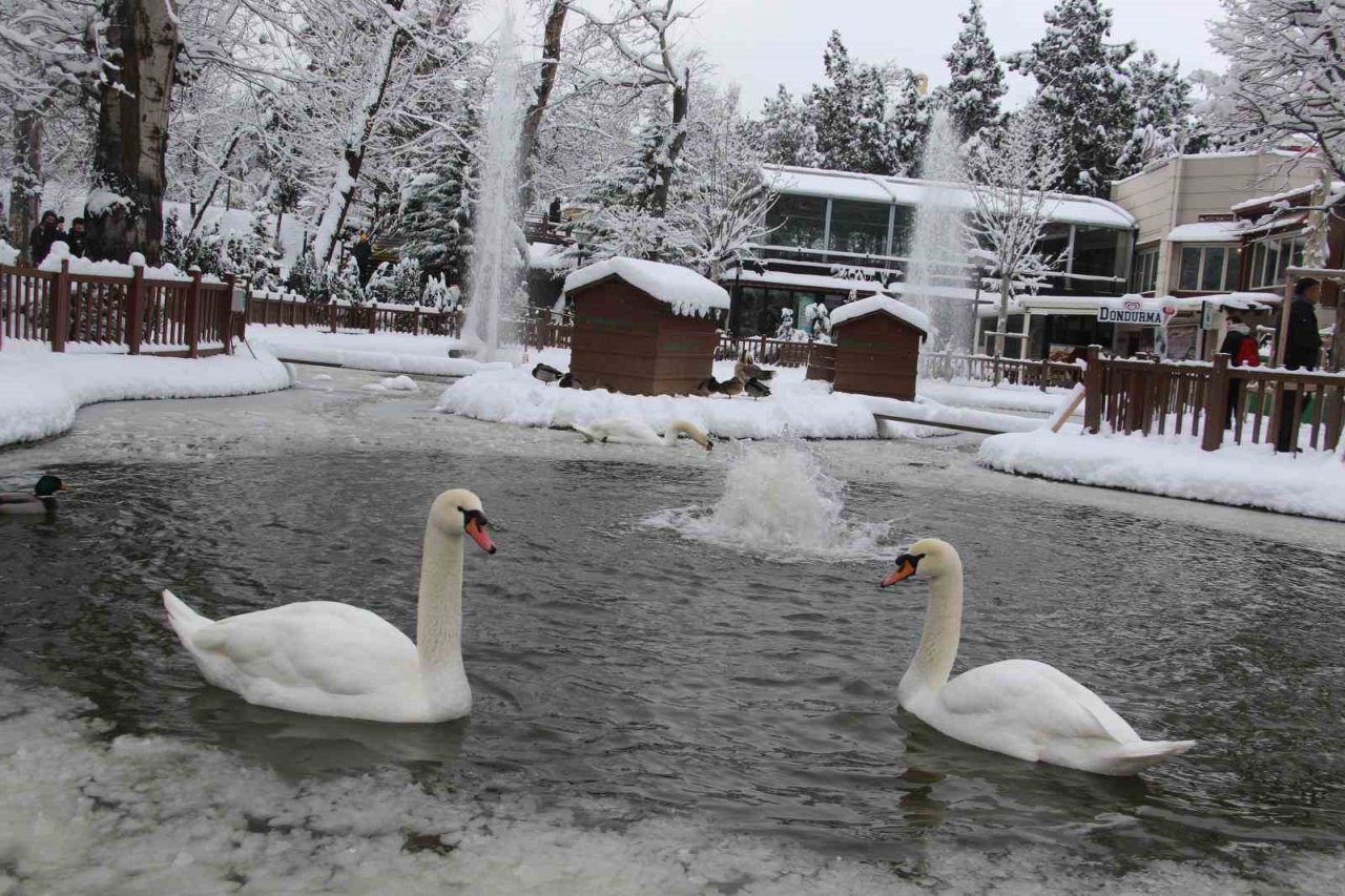 Kuğulu Park’ta kar coşkusu
