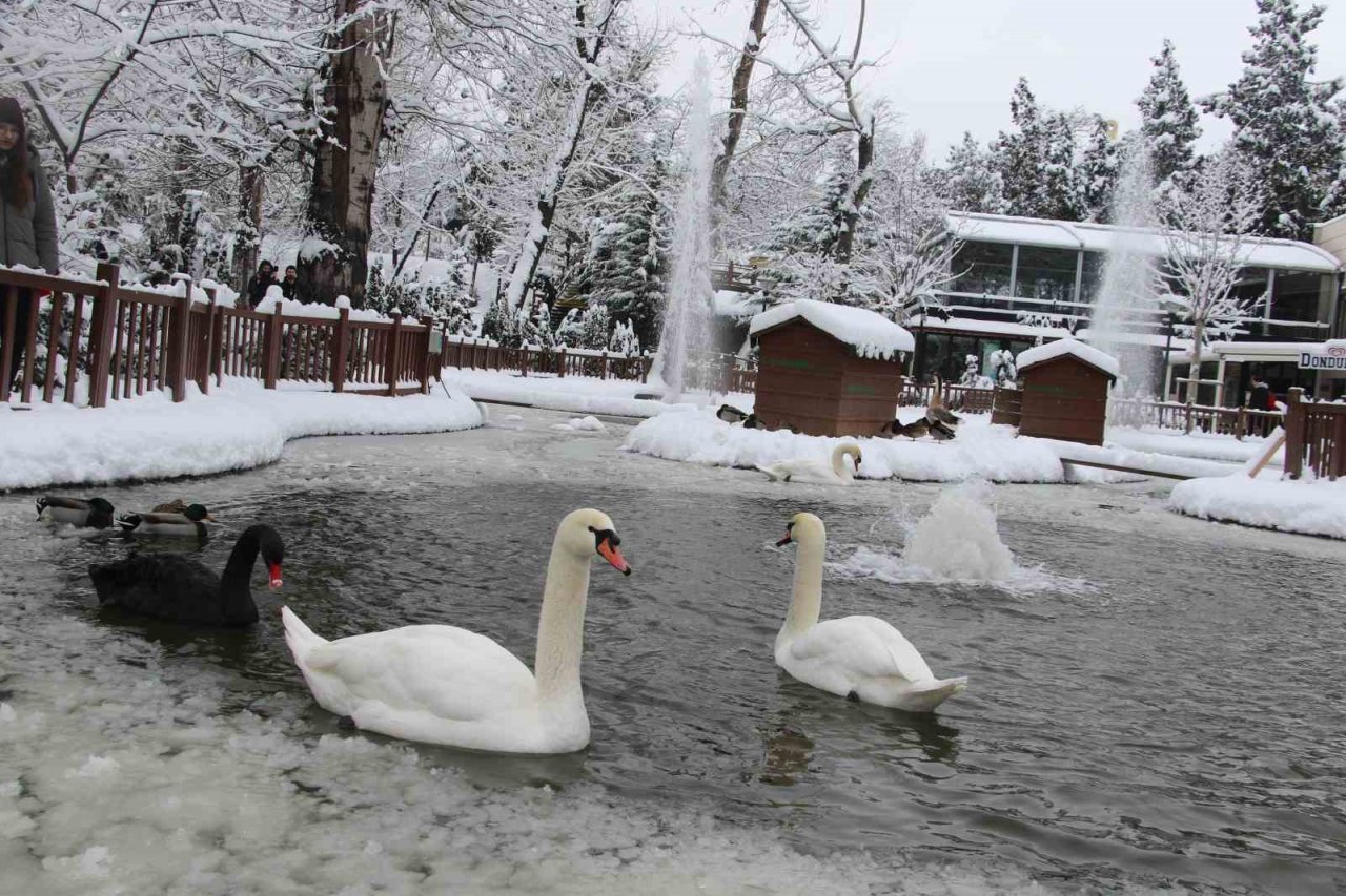 Kuğulu Park’ta kar coşkusu