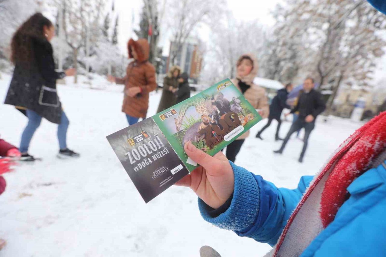 Şahin sokak hayvanlarını besledi