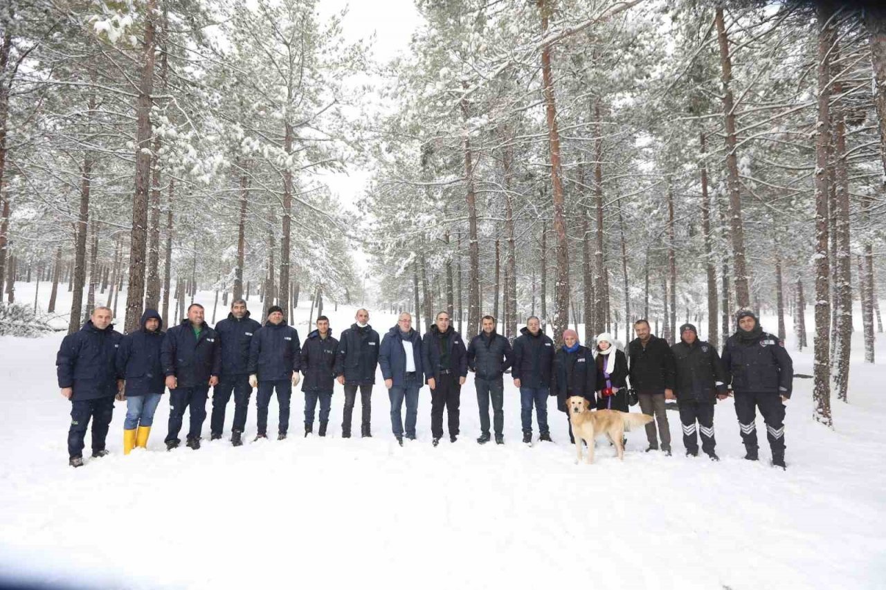 Şahin sokak hayvanlarını besledi