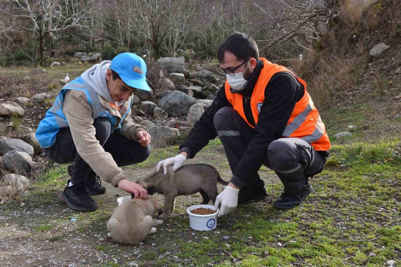 Can dostlarına "Yıldırım" şefkati