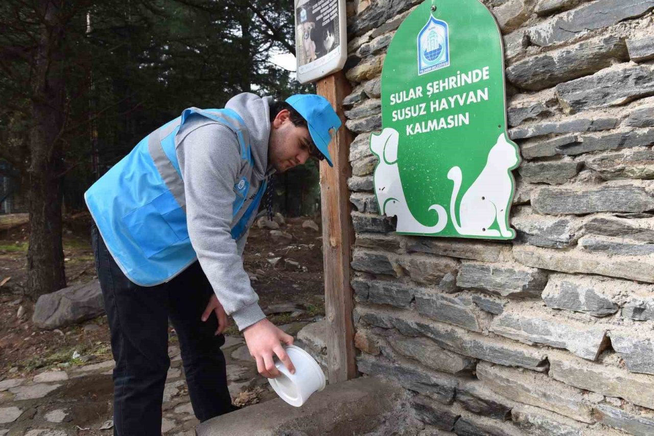 Can dostlarına "Yıldırım" şefkati