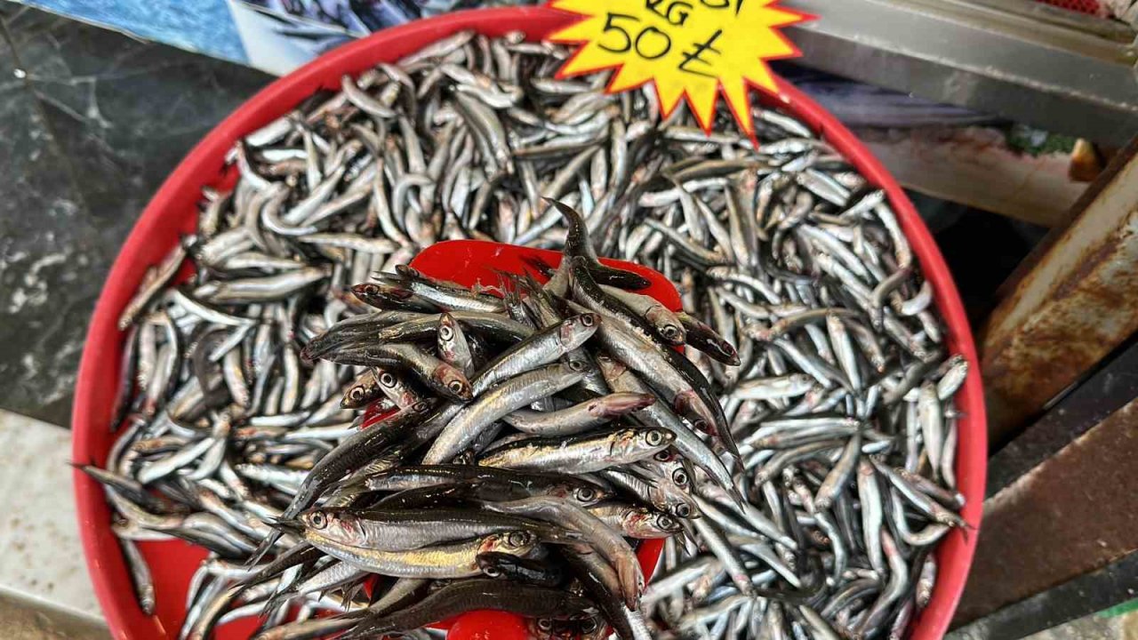 Sıcak havalar balıkçı tezgahlarını da etkiledi