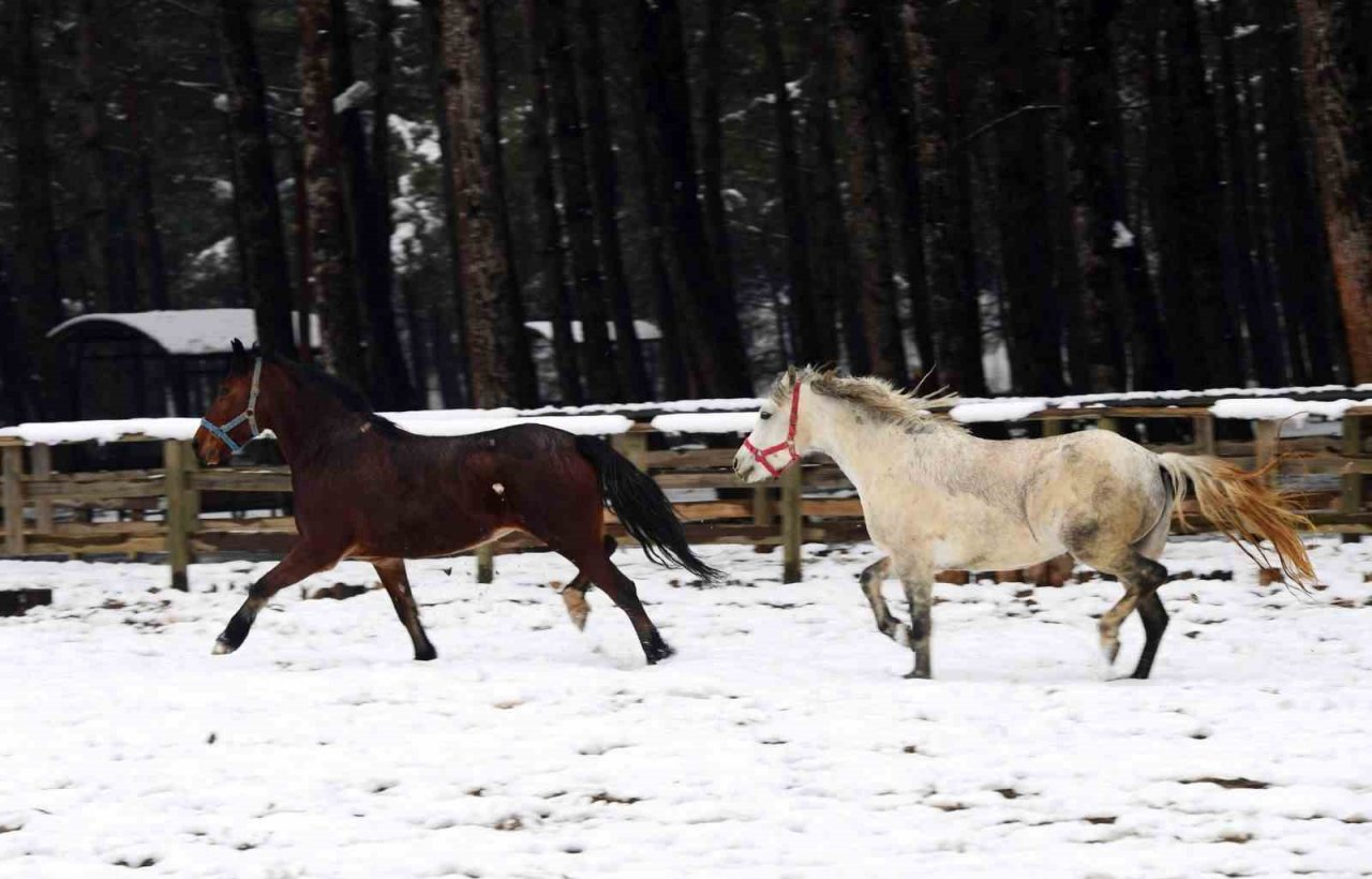 Kahramanmaraş’ta 28 mahalleye ulaşım sağlanamıyor