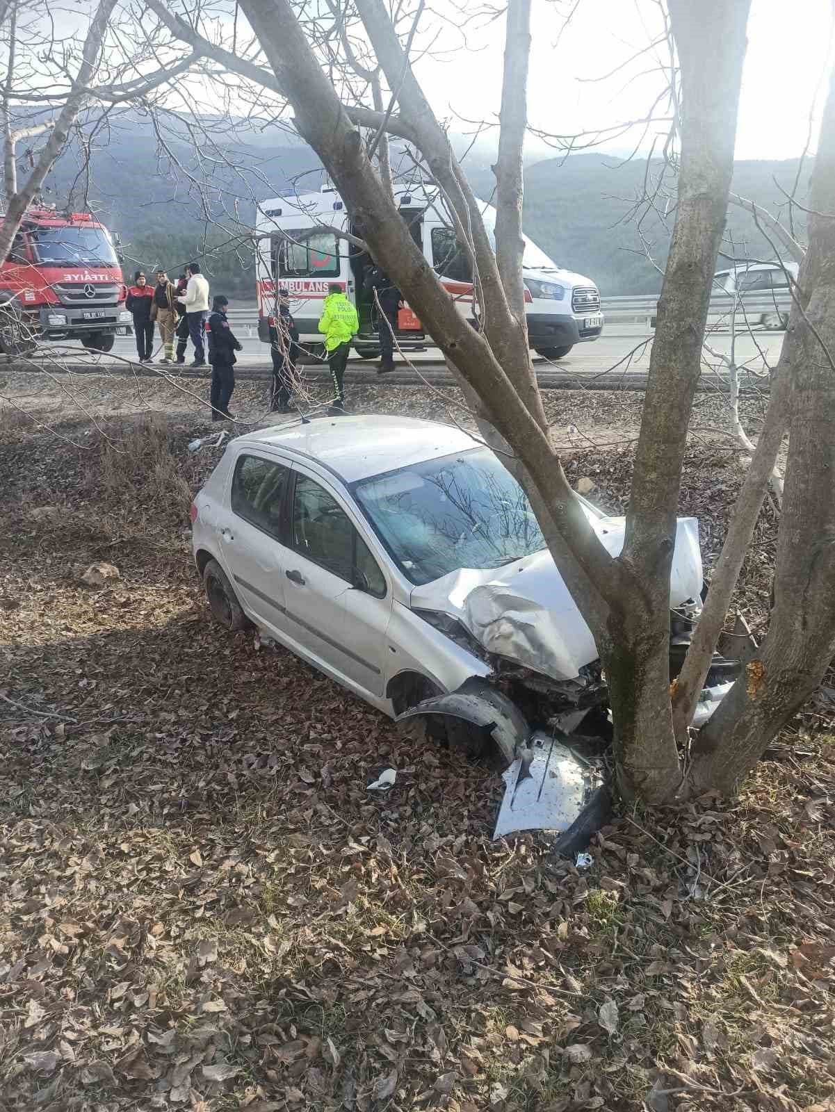 Otomobil ceviz ağacına çarptı: 2 yaralı