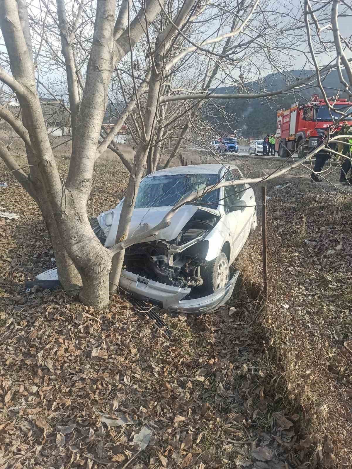 Otomobil ceviz ağacına çarptı: 2 yaralı