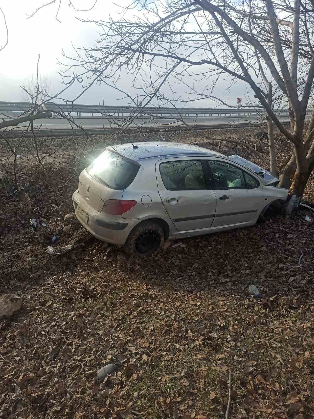 Otomobil ceviz ağacına çarptı: 2 yaralı