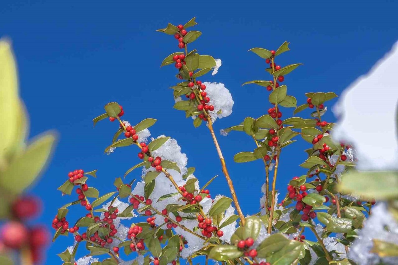 Şehitkamil’de kartpostallık görüntüler