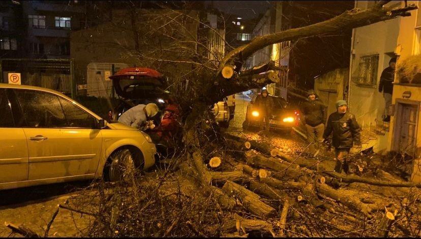Üsküdar’da yarım asırlık akasya ağacı 2 otomobilin üzerine devrildi