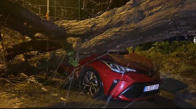 Üsküdar’da yarım asırlık akasya ağacı 2 otomobilin üzerine devrildi