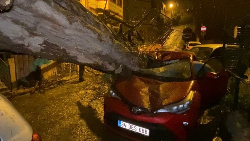 Üsküdar’da yarım asırlık akasya ağacı 2 otomobilin üzerine devrildi