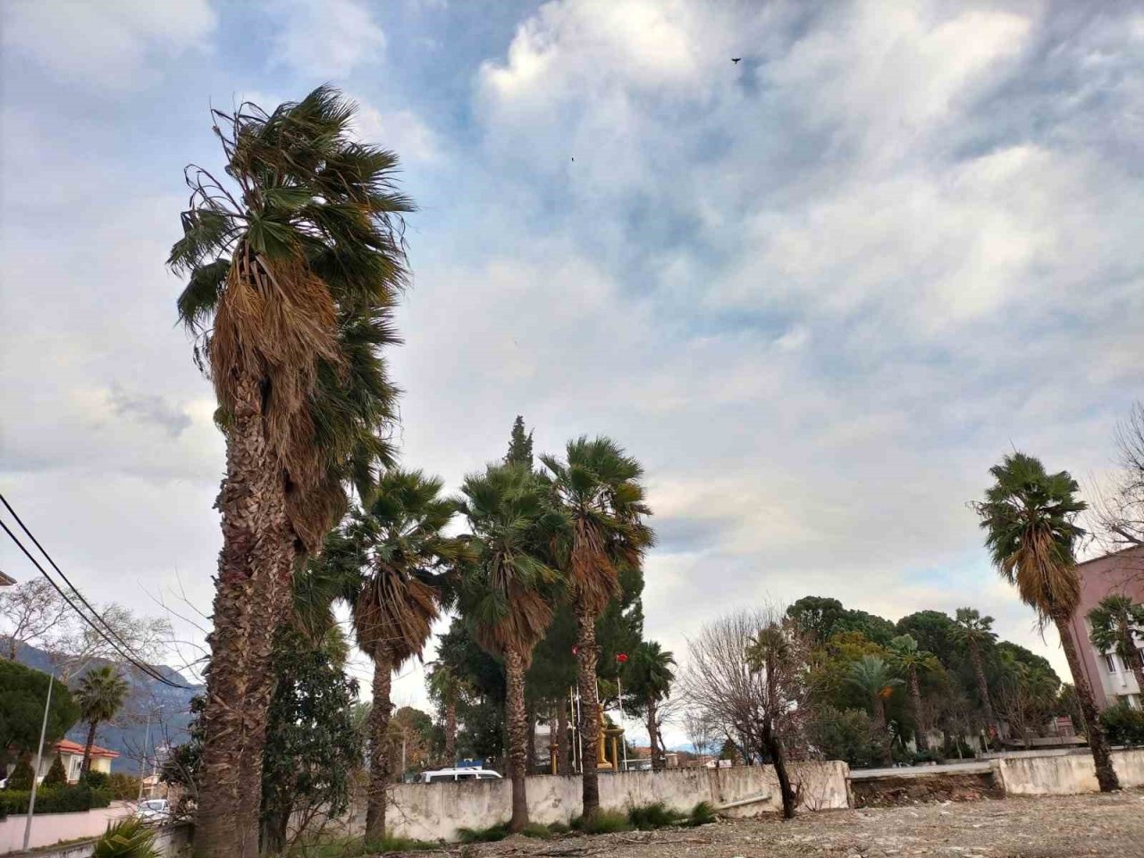 Köyceğiz’de rüzgar ve fırtına etkisini sürdürüyor