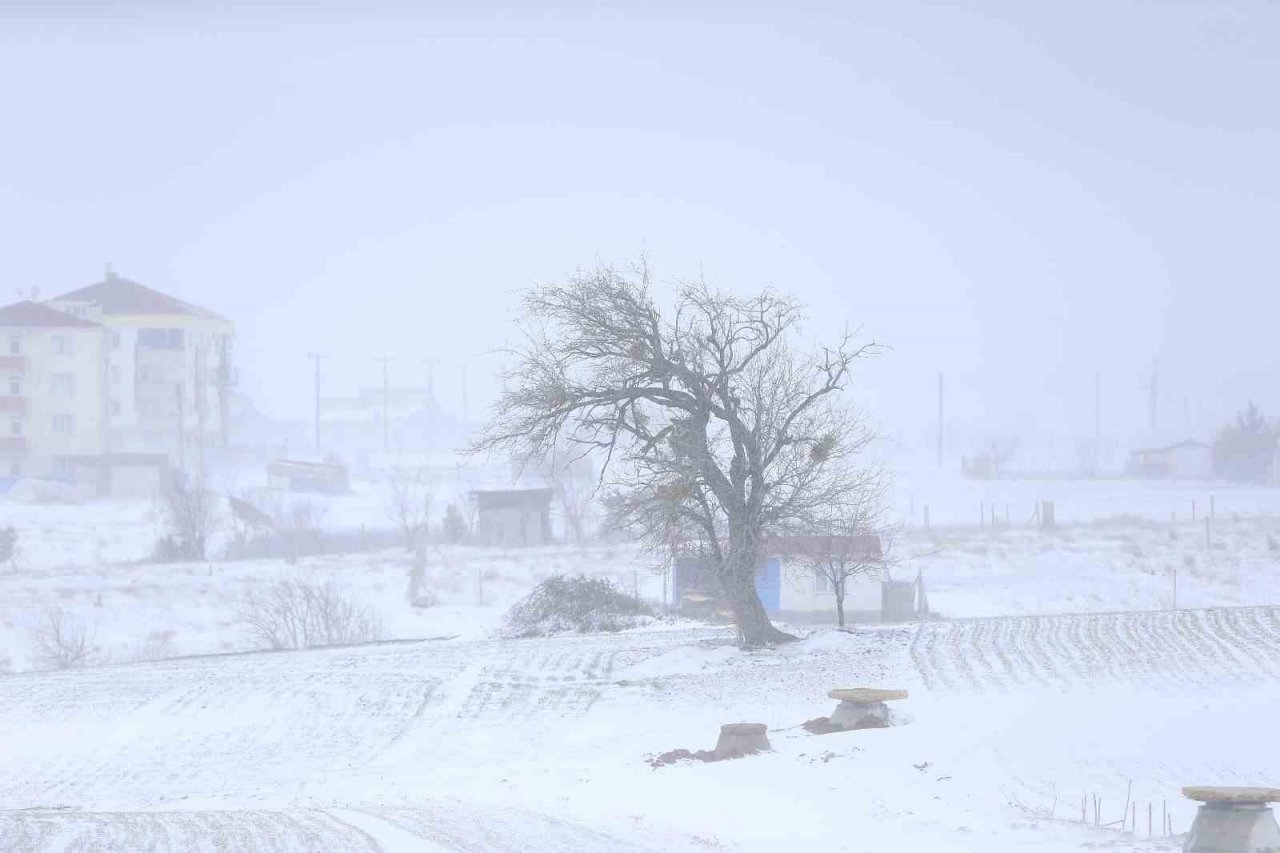 Yılın ilk kar yağışı