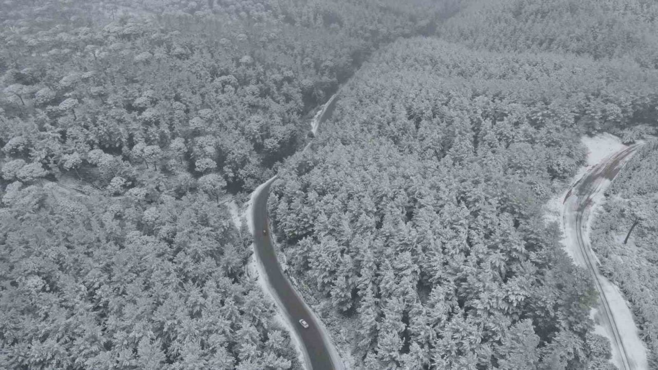 Aydın’da kara kış etkisini gösterdi