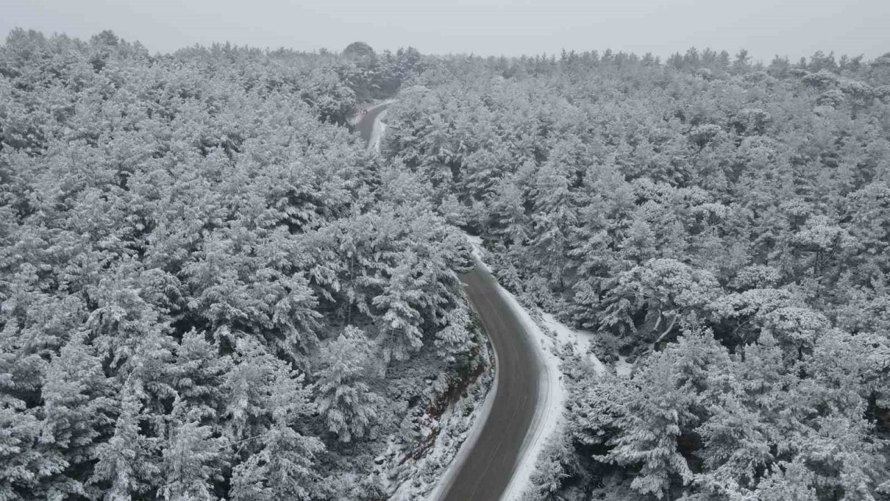 Aydın’da kara kış etkisini gösterdi