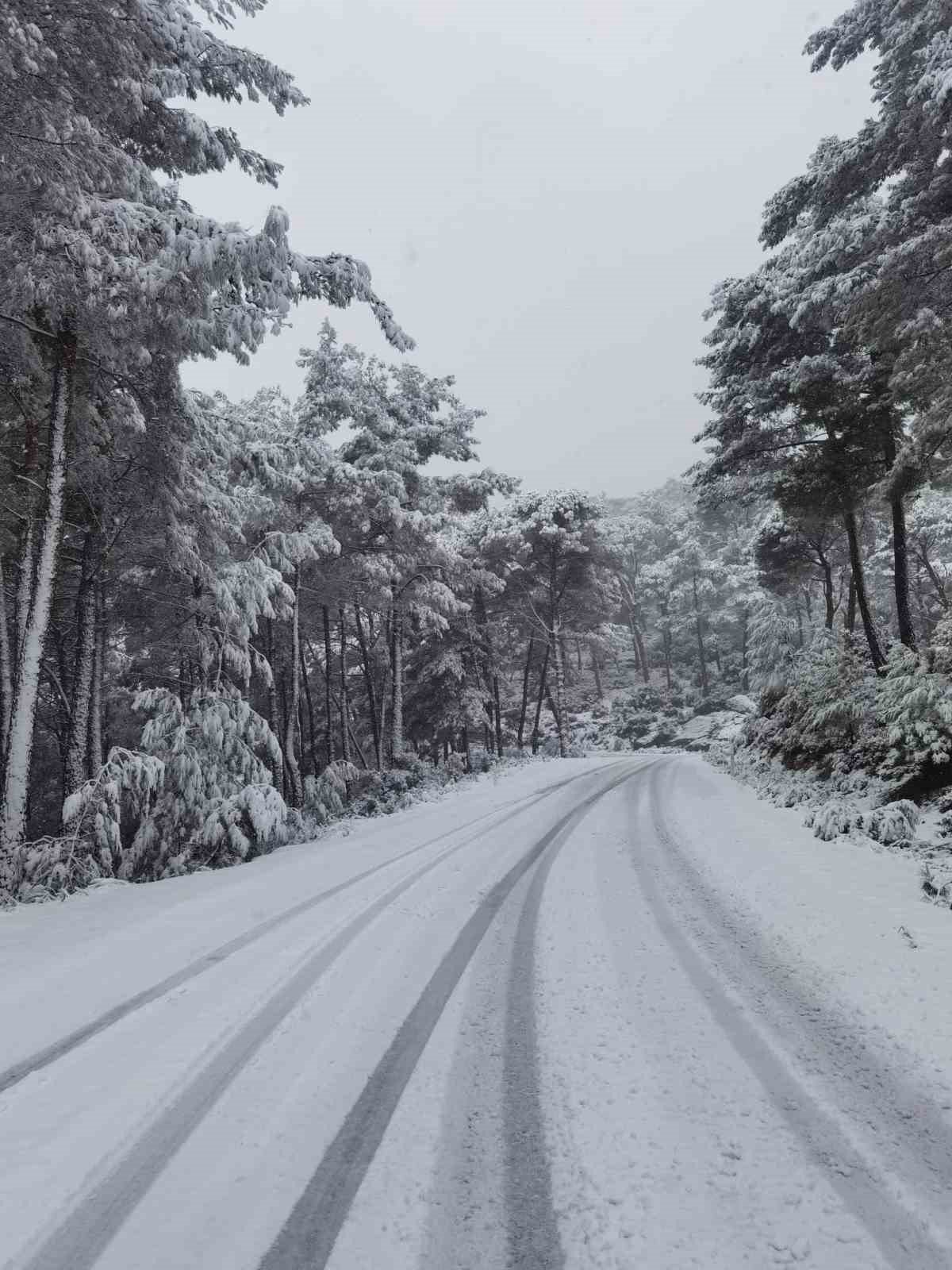 Aydın’da kara kış etkisini gösterdi