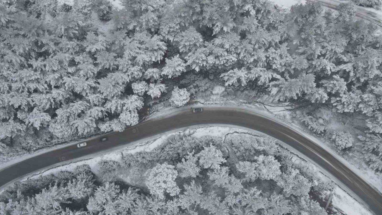 Aydın’da kara kış etkisini gösterdi