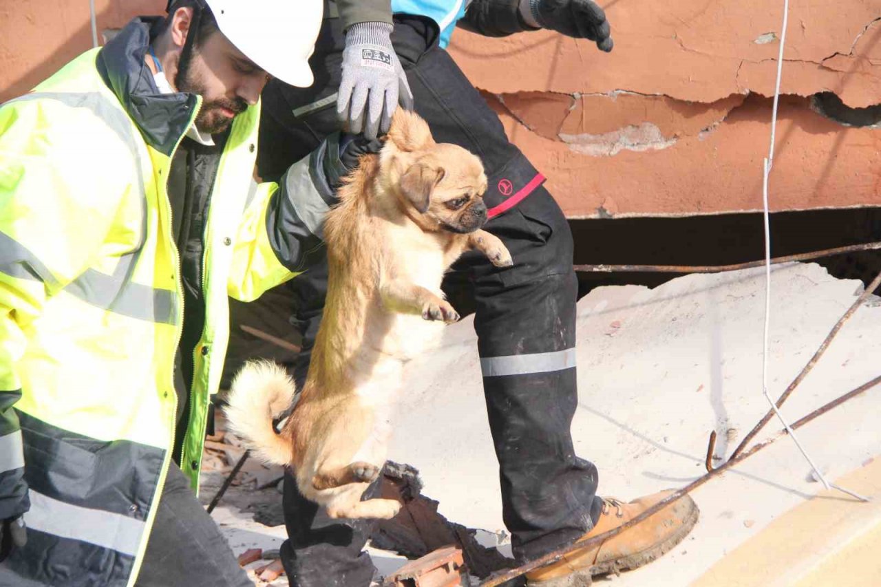 6 katlı bina enkazından sağ çıktı, depremzede kadın sahiplendi