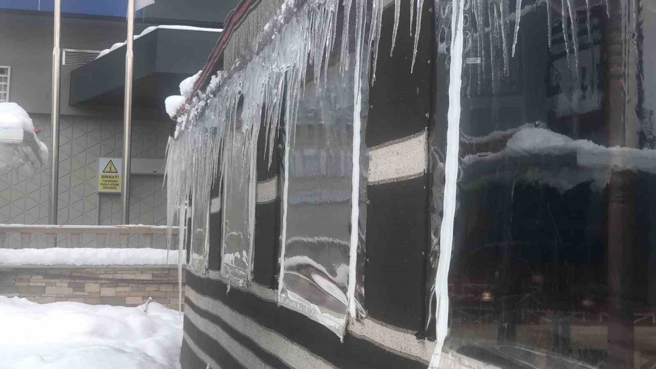 Erzurum güne karla uyandı