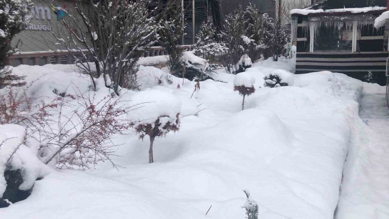 Erzurum güne karla uyandı