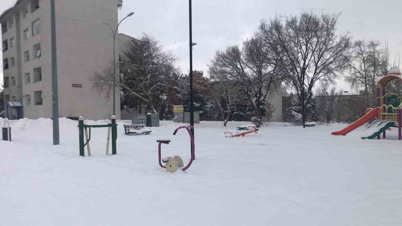 Erzurum güne karla uyandı