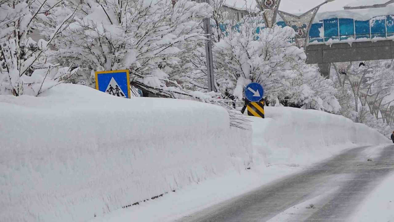 Bitlis’te 251 köy yolu ulaşıma kapandı