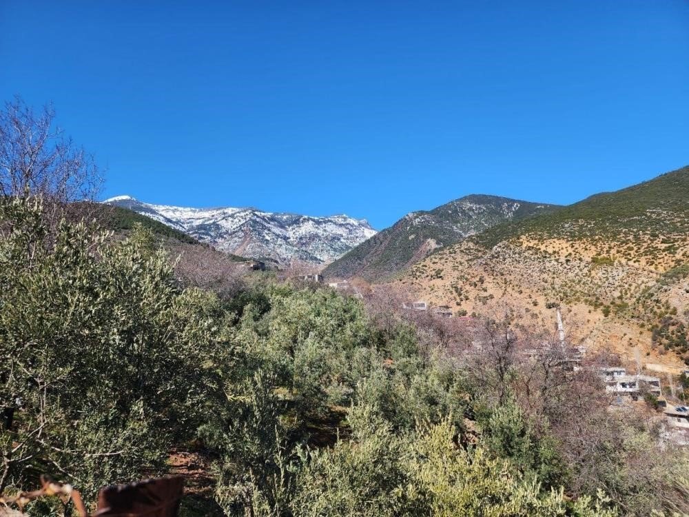 Hassa’daki su kaynaklarında sular çekildi