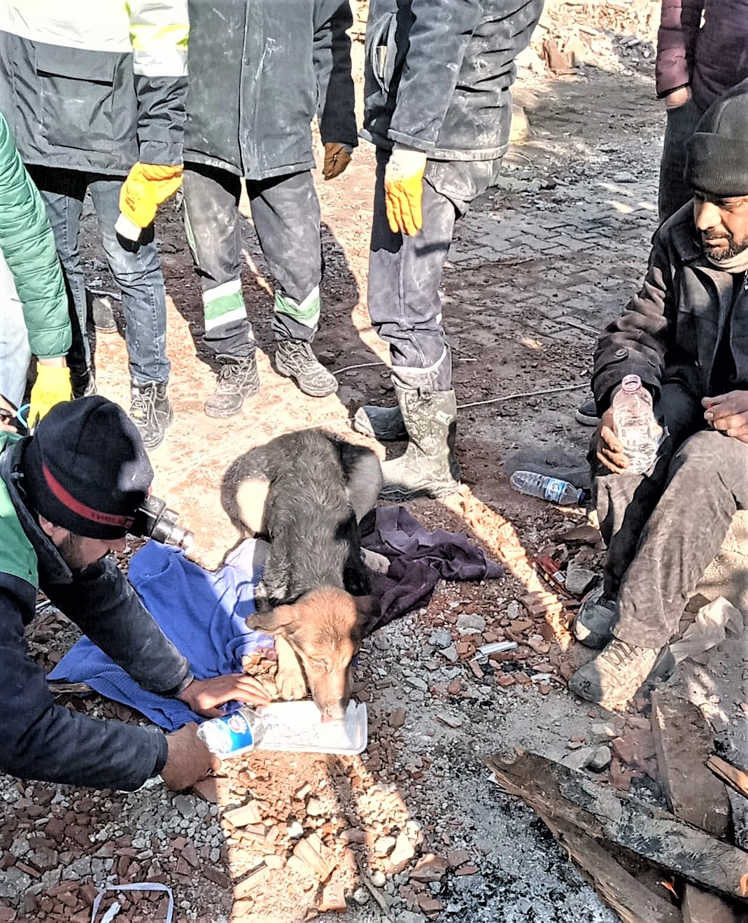 karatay-belediyesi-deprem-bolgesinde-2.jpg