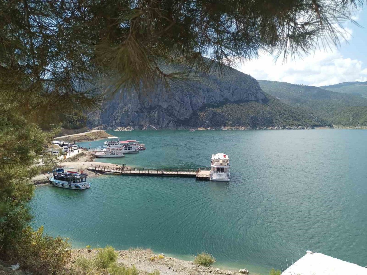 Son 2 yılda 30 bin 313 sülün doğaya bırakıldı