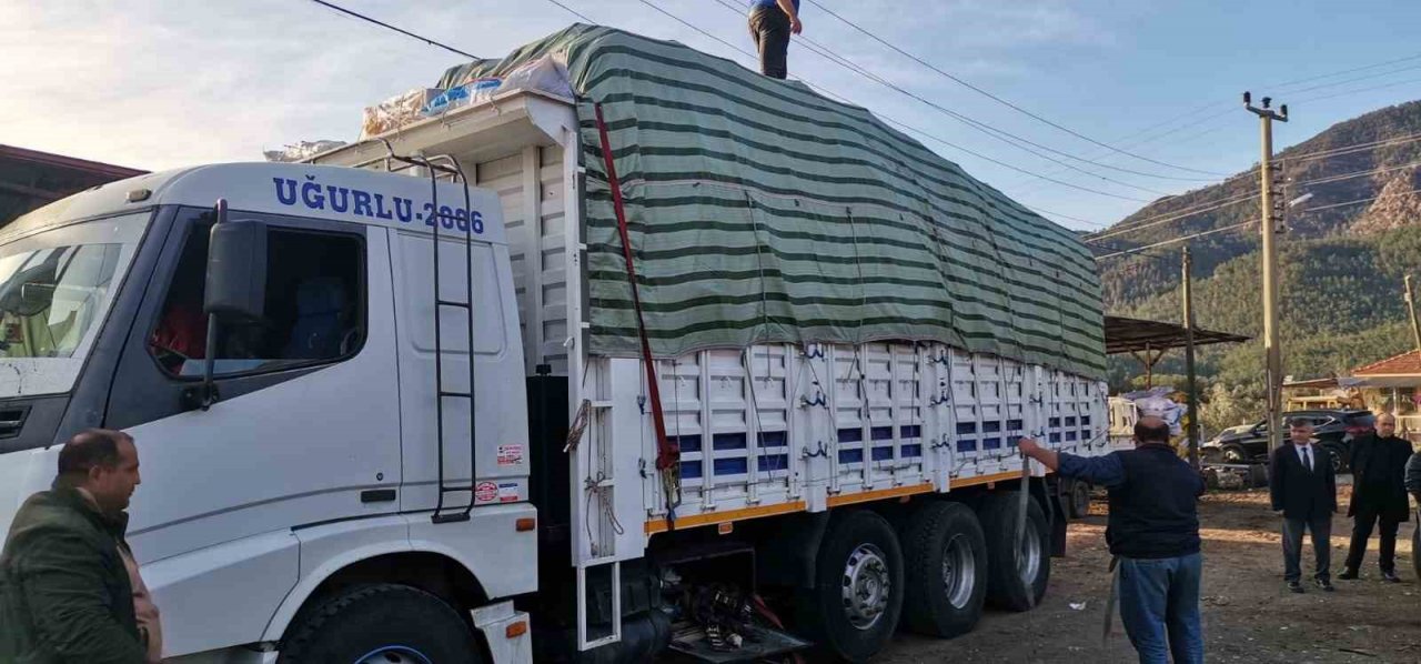 Köyceğiz’den deprem bölgesine odun gönderildi